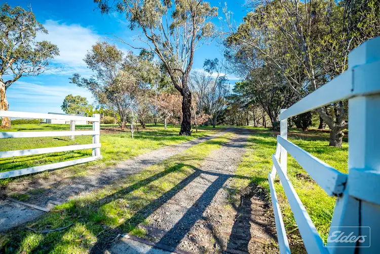 Fifth view of Homely rural property listing, 149 GREENHILLS ROAD, Lower Inman Valley SA 5211