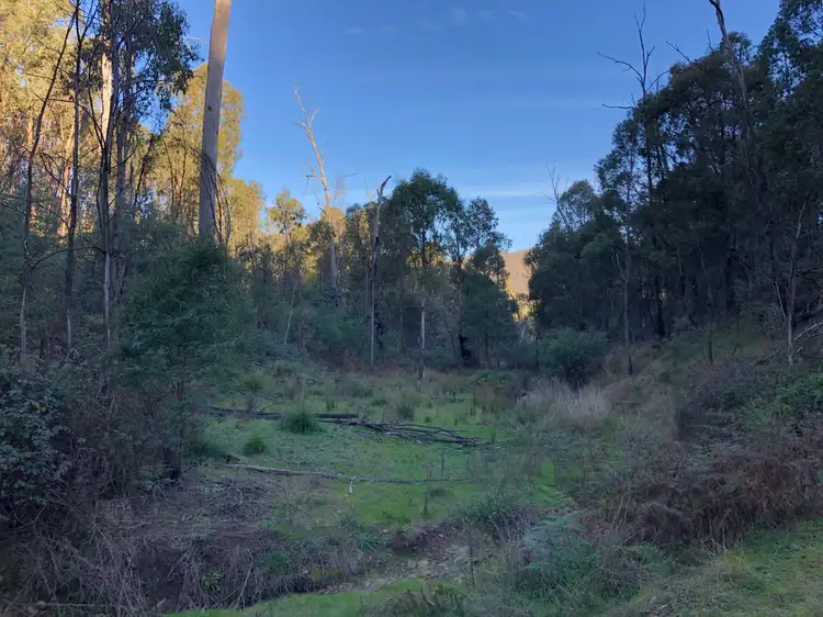 Fourth view of Homely rural property listing, Lot 1 Dartmouth Road, Dartmouth VIC 3701