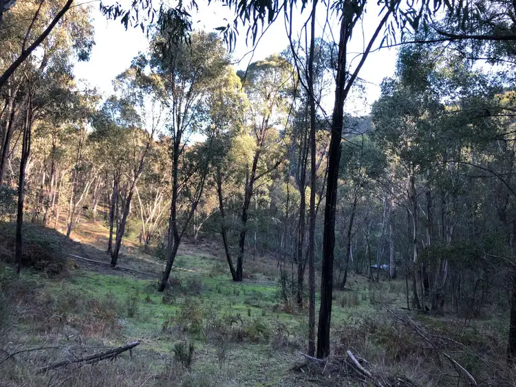 Seventh view of Homely rural property listing, Lot 1 Dartmouth Road, Dartmouth VIC 3701