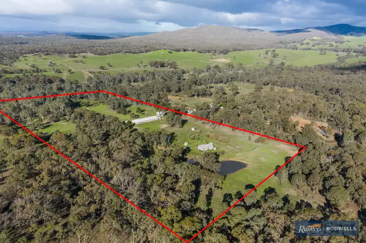 Main view of Homely rural property listing, 343 Majors Line Road, Tooborac VIC 3522