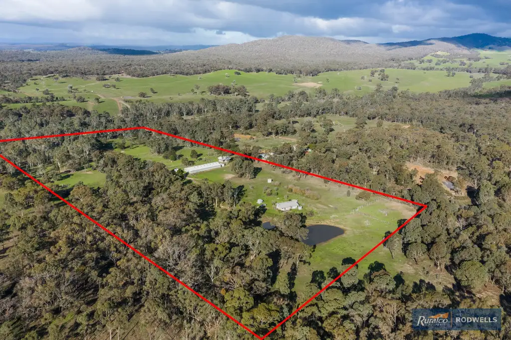 Main view of Homely rural property listing, 343 Majors Line Road, Tooborac VIC 3522