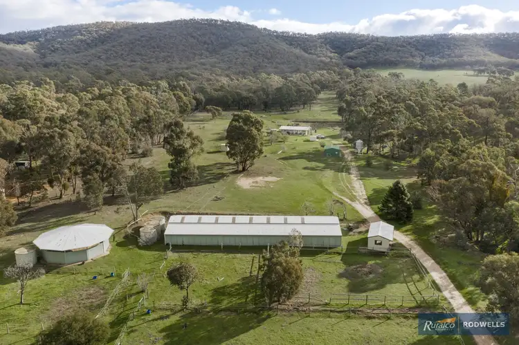 Third view of Homely rural property listing, 343 Majors Line Road, Tooborac VIC 3522