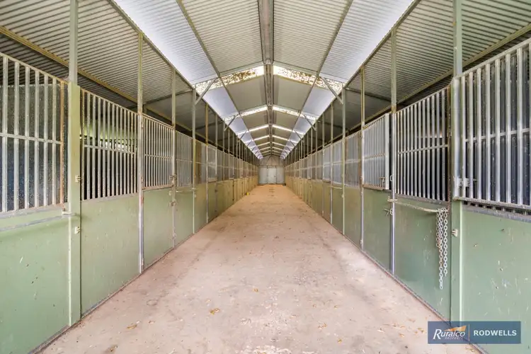 Fourth view of Homely rural property listing, 343 Majors Line Road, Tooborac VIC 3522