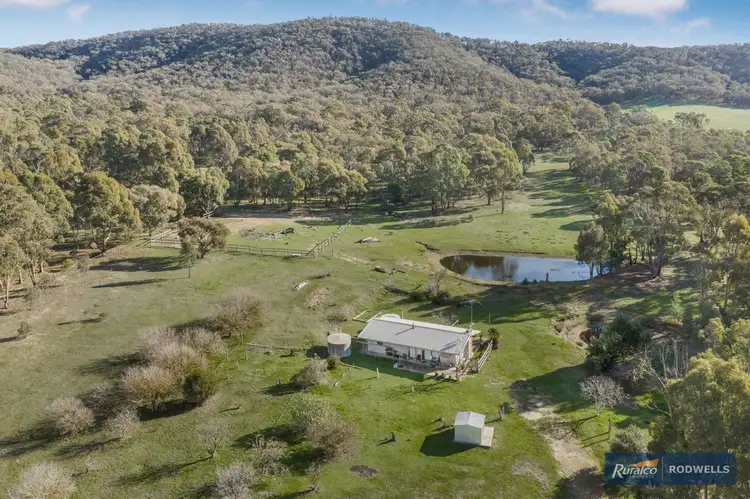 Fifth view of Homely rural property listing, 343 Majors Line Road, Tooborac VIC 3522