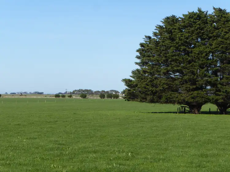 Second view of Homely rural property listing, 243 SIMS ROAD, MAILORS FLAT, Warrnambool VIC 3280