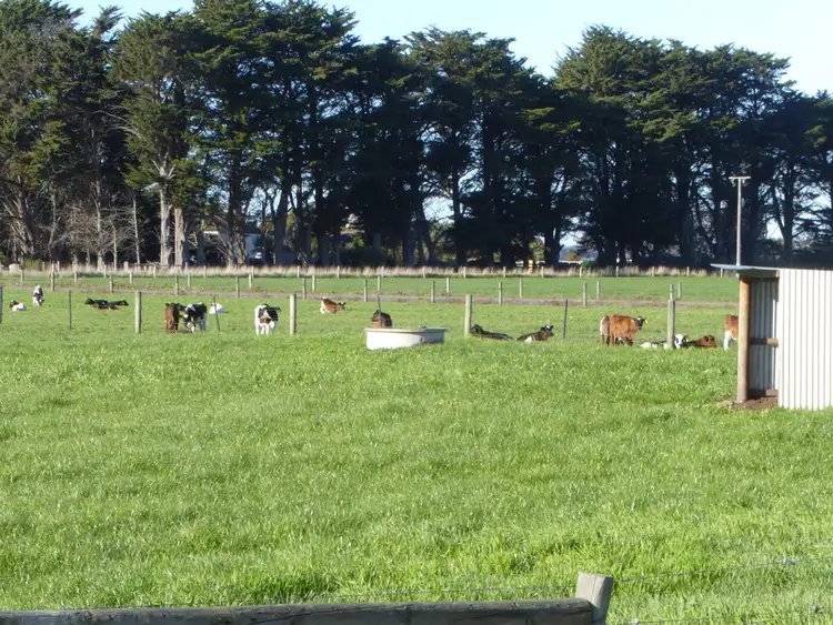 Third view of Homely rural property listing, 243 SIMS ROAD, MAILORS FLAT, Warrnambool VIC 3280