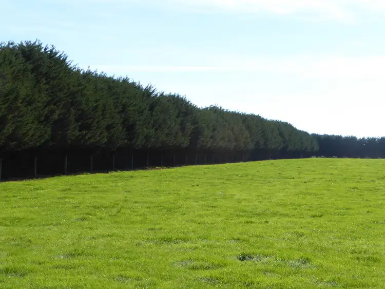 Fifth view of Homely rural property listing, 243 SIMS ROAD, MAILORS FLAT, Warrnambool VIC 3280