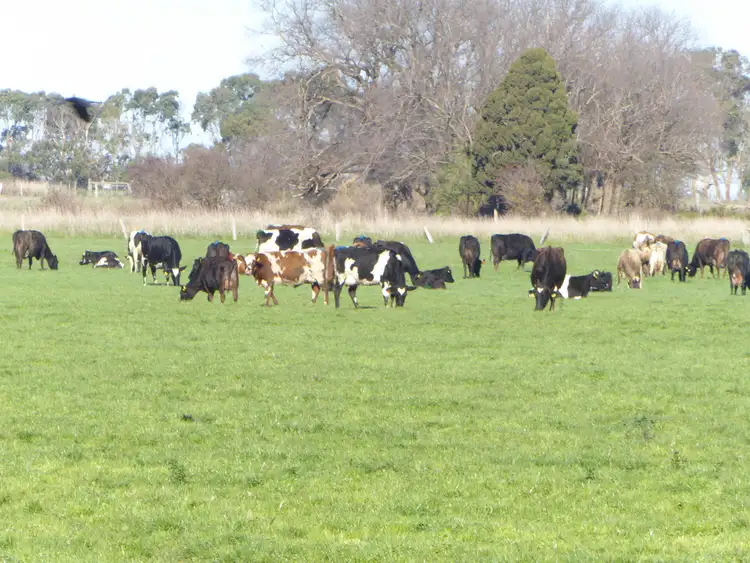 Sixth view of Homely rural property listing, 243 SIMS ROAD, MAILORS FLAT, Warrnambool VIC 3280