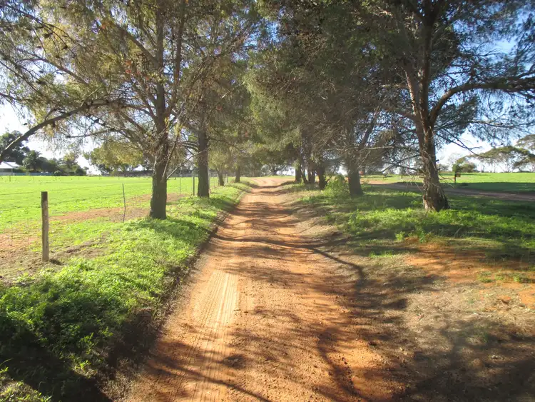 Second view of Homely rural property listing, 357 Kulkami Road, Karoonda SA 5307