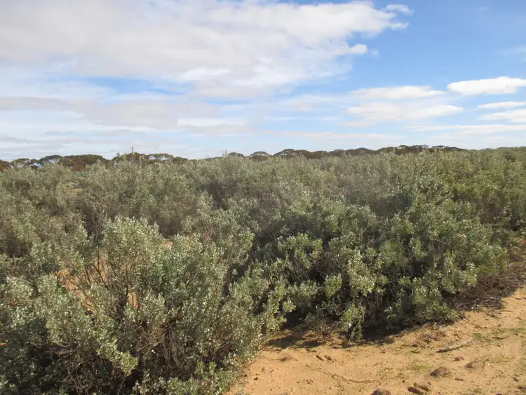 Fourth view of Homely rural property listing, 357 Kulkami Road, Karoonda SA 5307