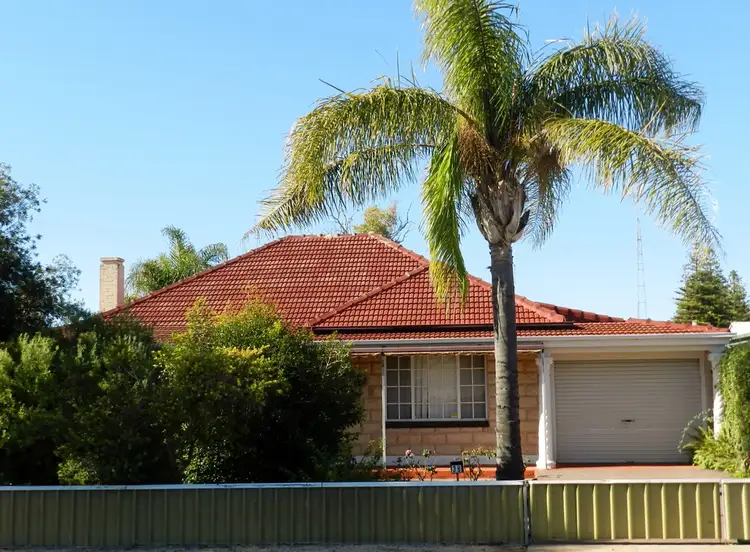 38 Zante Road, Berri SA 5343