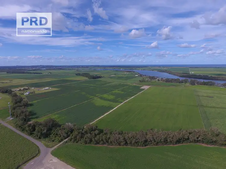 Fifth view of Homely rural property listing, 359 Riverbank Road, Pimlico NSW 2478