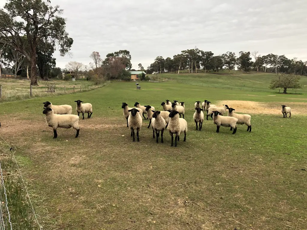 Main view of Homely rural property listing, 1614 GIBBS ROAD, Boyup Brook WA 6244
