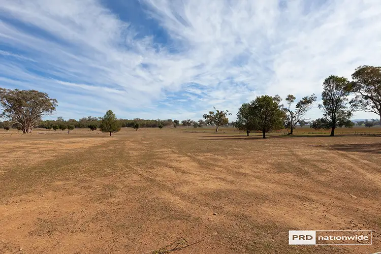 Seventh view of Homely house listing, 113 Fiona Drive, Tamworth NSW 2340