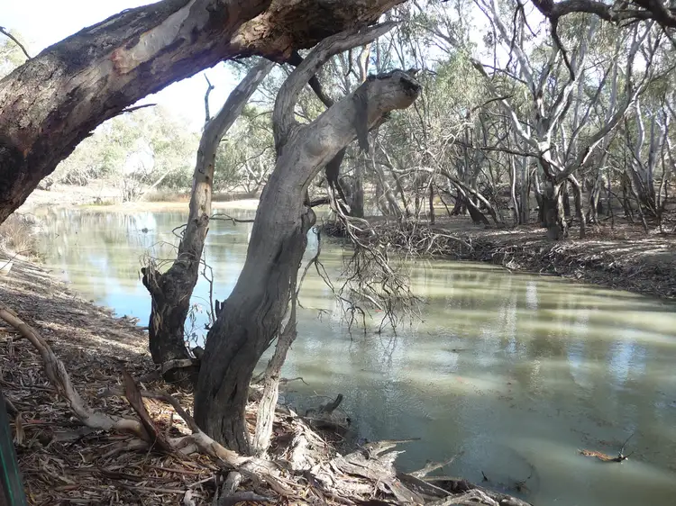 Main view of Homely rural property listing, 31 Conargo Road, Jerilderie NSW 2716