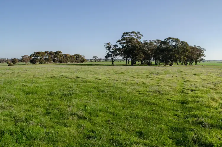 Third view of Homely rural property listing, 565 Muskerry East School Road, Muskerry VIC 3557