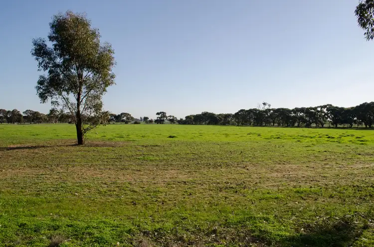 Sixth view of Homely rural property listing, 565 Muskerry East School Road, Muskerry VIC 3557