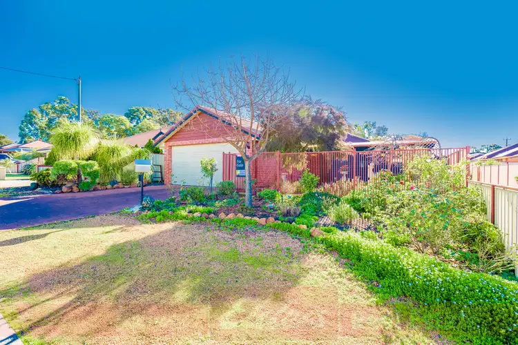 Main view of Homely unit listing, 41A Evans Street, Collie WA 6225