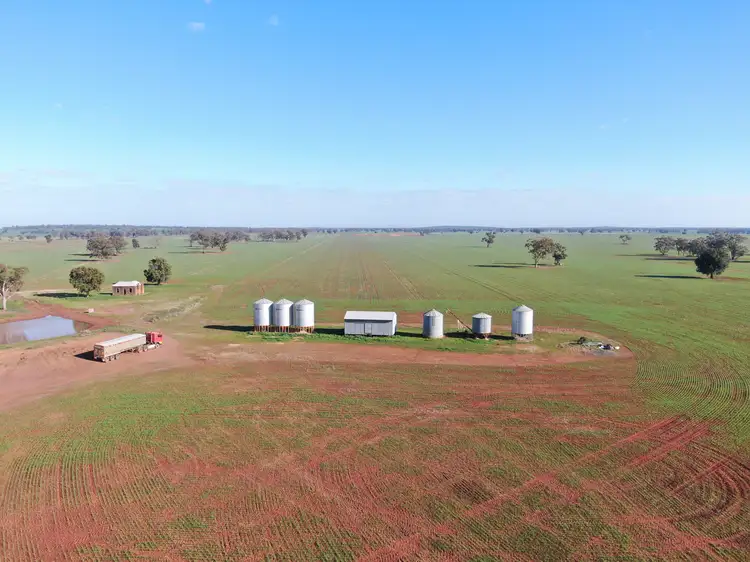 Main view of Homely rural property listing, 4603 ''Glengariff'' Condo/ Wyalong Road, West Wyalong NSW 2671