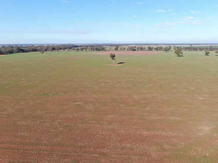 Third view of Homely rural property listing, 4603 ''Glengariff'' Condo/ Wyalong Road, West Wyalong NSW 2671
