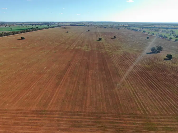 Fourth view of Homely rural property listing, 4603 ''Glengariff'' Condo/ Wyalong Road, West Wyalong NSW 2671