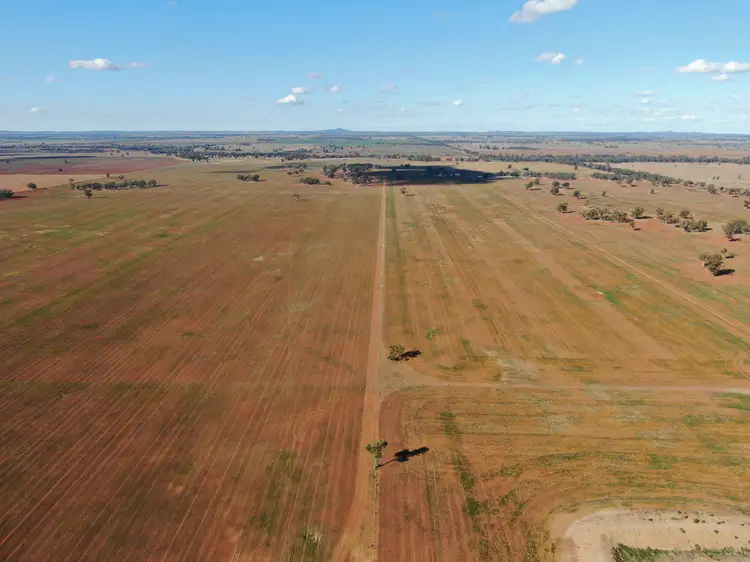 Sixth view of Homely rural property listing, 4603 ''Glengariff'' Condo/ Wyalong Road, West Wyalong NSW 2671