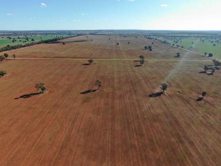 Seventh view of Homely rural property listing, 4603 ''Glengariff'' Condo/ Wyalong Road, West Wyalong NSW 2671