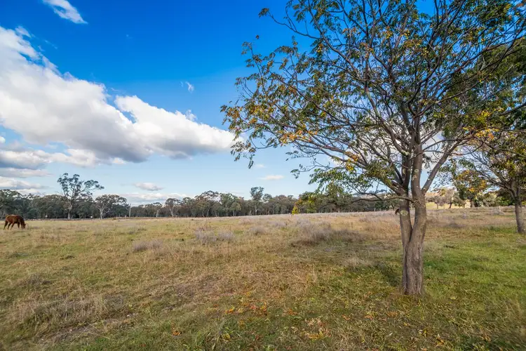 Third view of Homely rural property listing, 2704 Lue Road, Lue, Mudgee NSW 2850