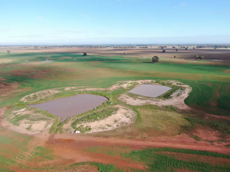Third view of Homely rural property listing, 664 Fosters Lane, West Wyalong NSW 2671