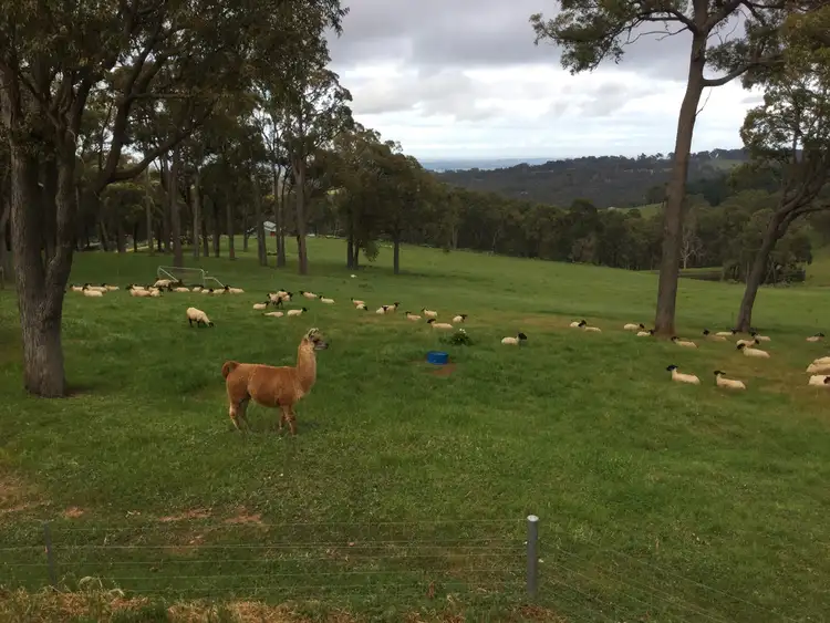 Second view of Homely rural property listing, Lot 10 Sandalwood Road, Brunswick WA 6224