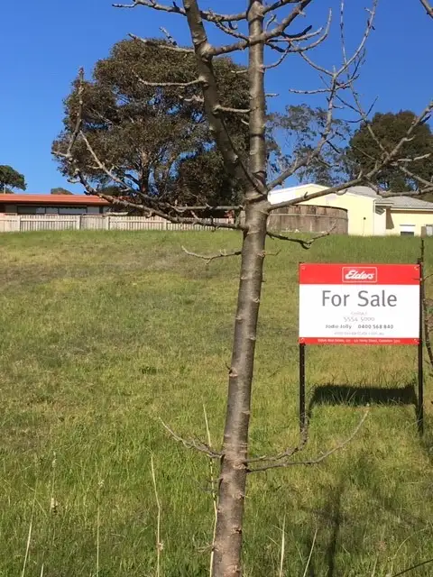 Main view of Homely land listing, 17 Flynn Street, Casterton VIC 3311
