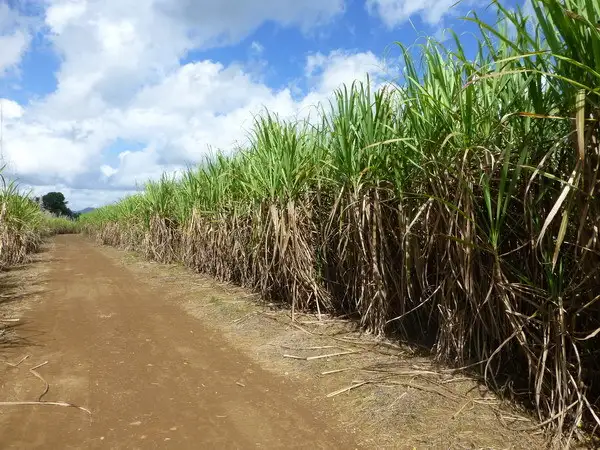 Third view of Homely rural property listing, Address available on request