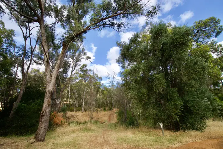 Fourth view of Homely house listing, 1884 Chittering Road, Lower Chittering WA 6084