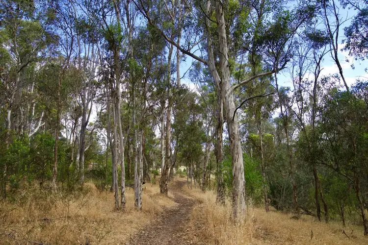 Fifth view of Homely house listing, 1884 Chittering Road, Lower Chittering WA 6084