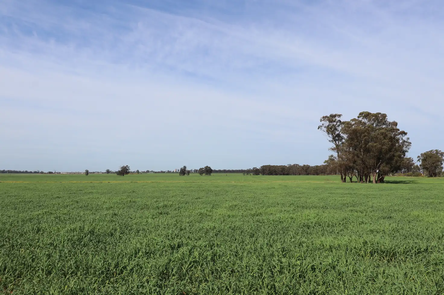 Main view of Homely rural property listing, Address available on request