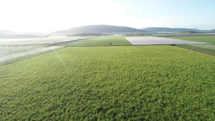 Fourth view of Homely rural property listing, 227 BLAIR ROAD, Proserpine QLD 4800