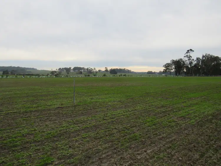 Fifth view of Homely rural property listing, Lot 102 Bessell Road, Rosa Brook WA 6285