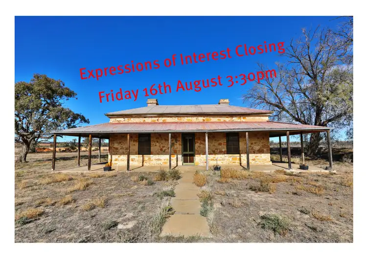 Main view of Homely rural property listing, Tareena PO Old Renmark Mail Road, Wentworth NSW 2648