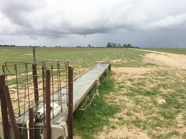 Main view of Homely rural property listing, 3388 Mollerin Rock South Rd, Lake Margarette via, Koorda WA 6475