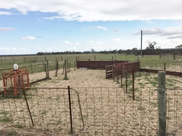 Fifth view of Homely rural property listing, 3388 Mollerin Rock South Rd, Lake Margarette via, Koorda WA 6475