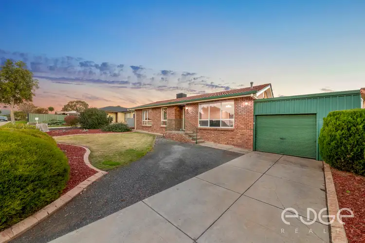 Main view of Homely house listing, 19 Maughan Avenue, Redwood Park SA 5097