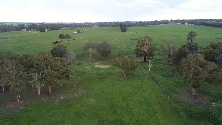 Fourth view of Homely rural property listing, 305 Clifton West Road, Mount Taylor VIC 3875