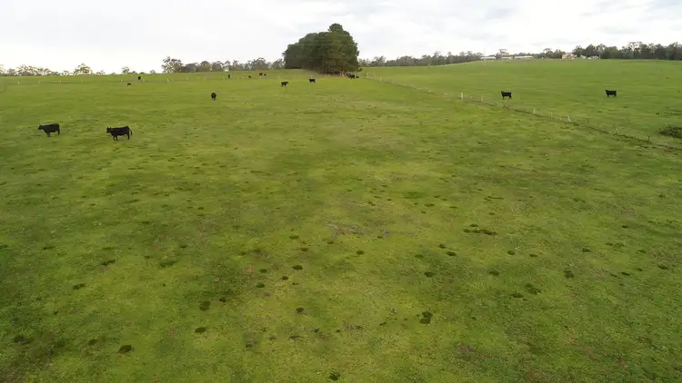 Sixth view of Homely rural property listing, 305 Clifton West Road, Mount Taylor VIC 3875