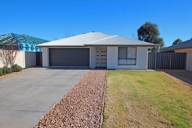 55 Flinders Street, Renmark SA 5341