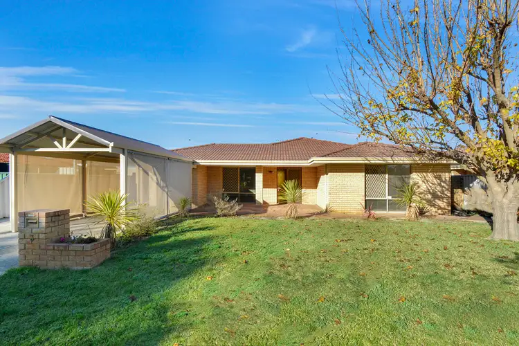 3 Bluegum Road, Morley WA 6062