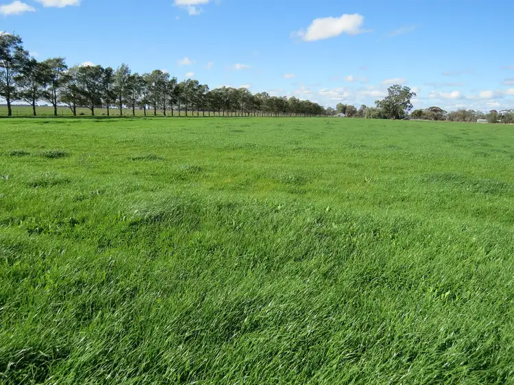 Second view of Homely rural property listing, 3357 NEWELL HIGHWAY, Finley NSW 2713