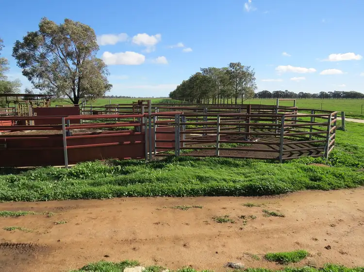 Fourth view of Homely rural property listing, 3357 NEWELL HIGHWAY, Finley NSW 2713