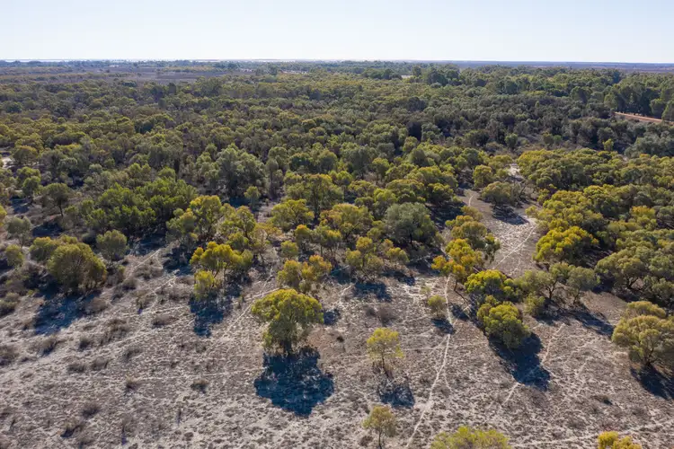 Seventh view of Homely rural property listing, - Rufus River Road, Wentworth NSW 2648