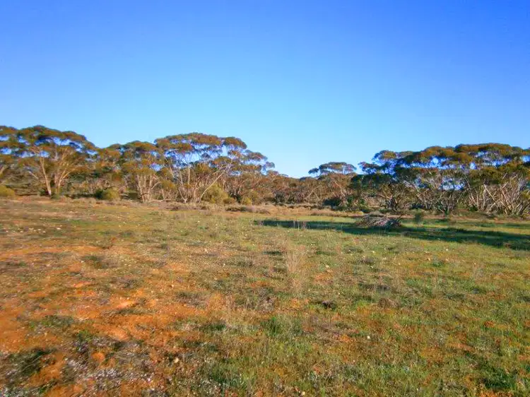 Section 113 Sturt Highway, Blanchetown SA 5357