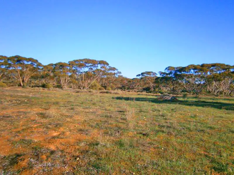 Main view of Homely rural property listing, Section 113 Sturt Highway, Blanchetown SA 5357